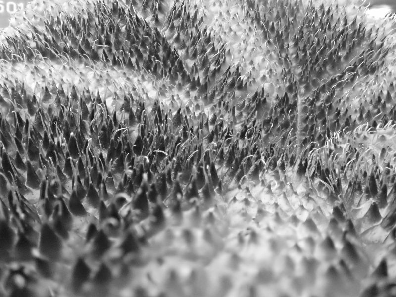 Viewing photos→2020→2020-02-08→18