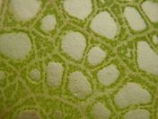 19.jpg - 2020:02:08 13:50:00