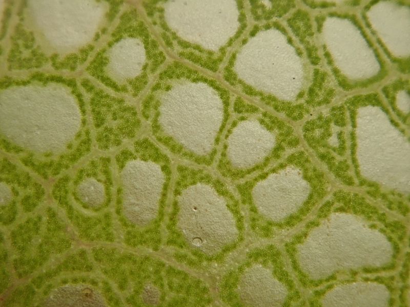 Viewing photos→2020→2020-02-08→19