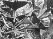 20.jpg - 2020:02:08 13:51:59