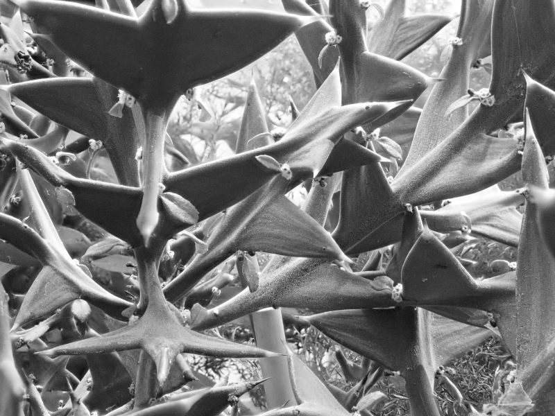 Viewing photos→2020→2020-02-08→20