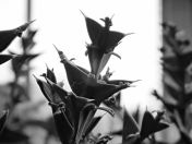 21.jpg - 2020:02:08 13:52:39