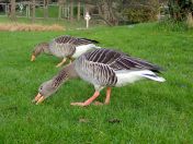 22.jpg - 2020:02:08 13:57:58