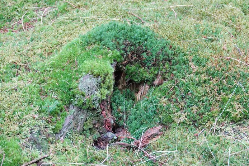 Viewing photos→2020→2020-02-08→24