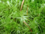 25.jpg - 2020:02:12 13:21:13