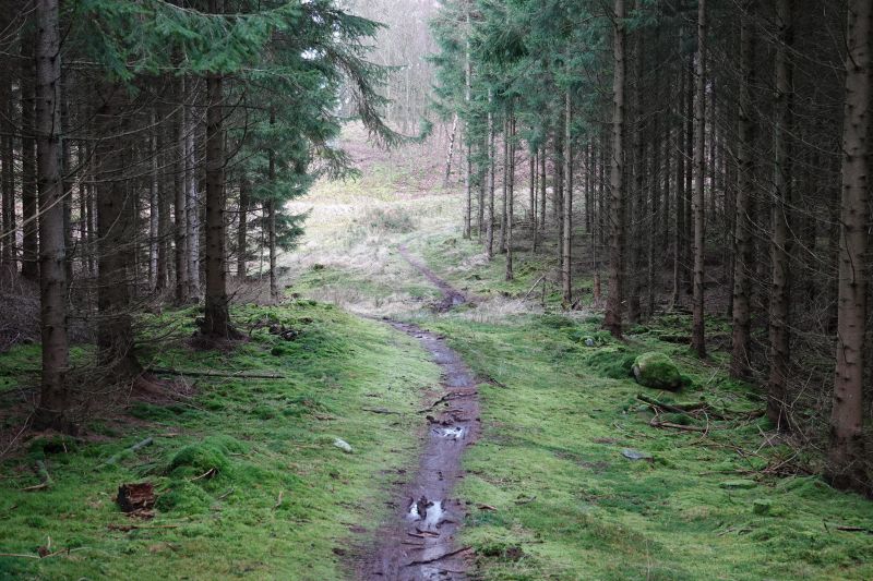 Viewing photos→2020→2020-02-08→26