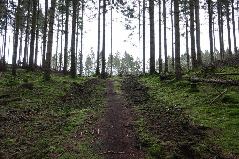 Viewing photos→2020→2020-02-08→28