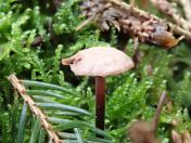 30.jpg - 2020:02:12 13:39:18