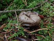 31.jpg - 2020:02:12 13:40:02