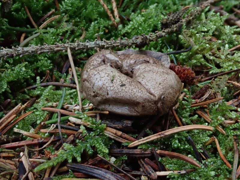 Viewing photos→2020→2020-02-08→31