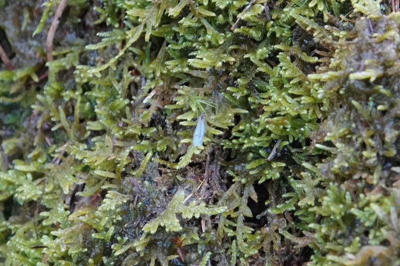 Viewing photos→2020→2020-02-08→36