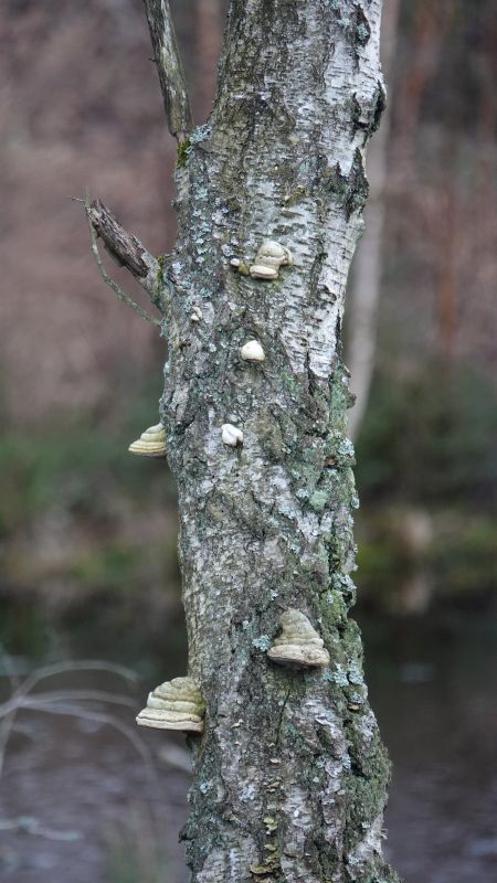 Viewing photos→2020→2020-02-08→44