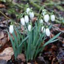 46.jpg - 2020:02:12 14:25:01