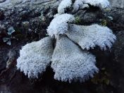 48.jpg - 2020:02:12 15:56:26