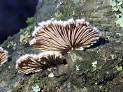 49.jpg - 2020:02:12 15:56:56