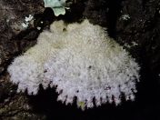 50.jpg - 2020:02:12 15:57:11