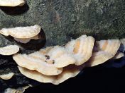 51.jpg - 2020:02:12 15:57:53