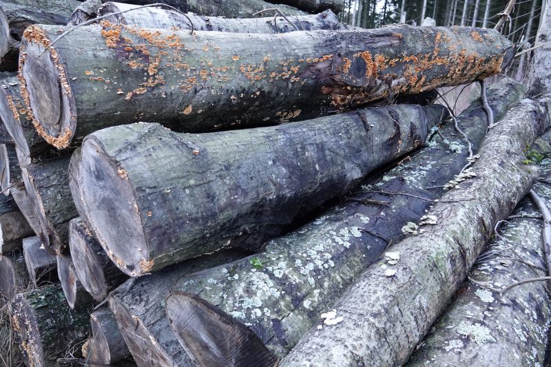 Viewing photos→2020→2020-02-08→53