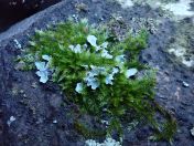 54.jpg - 2020:02:12 15:59:04