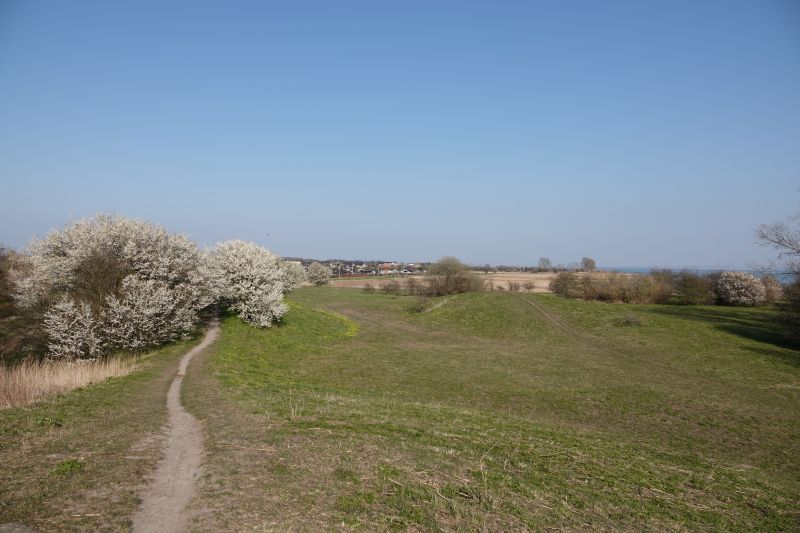 Viewing photos→2020→2020-03-27→01