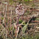 03.jpg - 2020:03:27 14:05:01