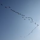 05.jpg - 2020:03:27 14:08:53