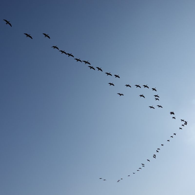 Viewing photos→2020→2020-03-27→05