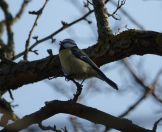 16.jpeg - 2020:03:27 14:17:41