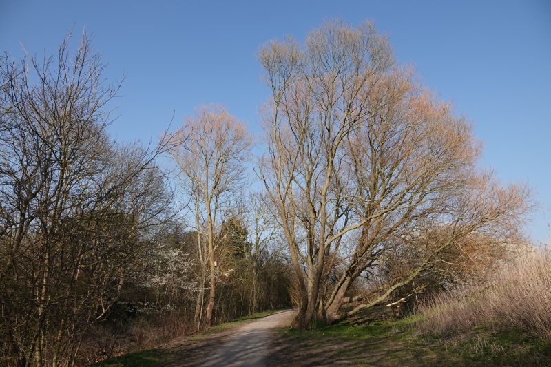 Viewing photos→2020→2020-03-27→19