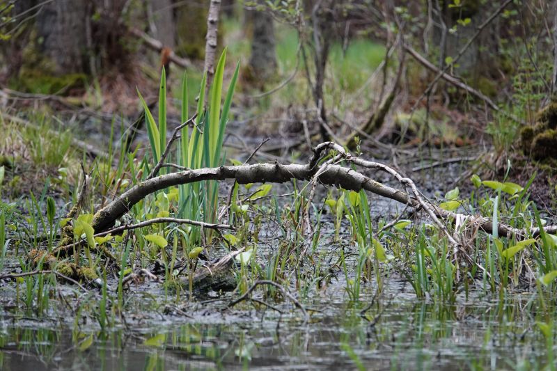 Viewing photos→2020→2020-05-03→05