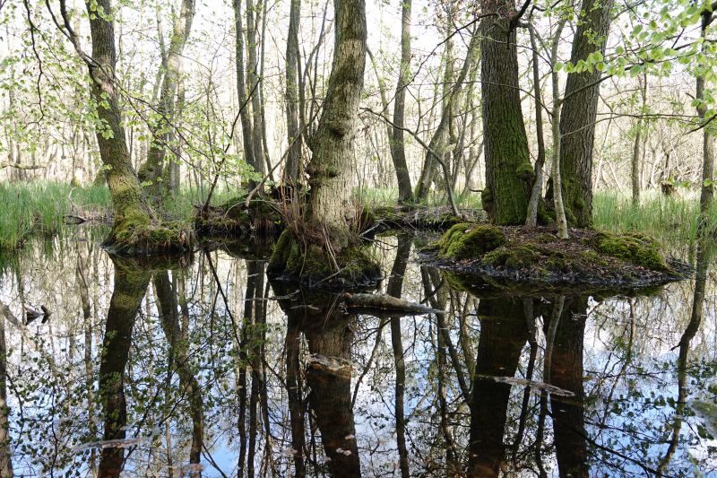 Viewing photos→2020→2020-05-03→09