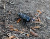 12.jpeg - 2020:05:03 15:13:25