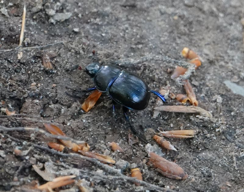 Viewing photos→2020→2020-05-03→12