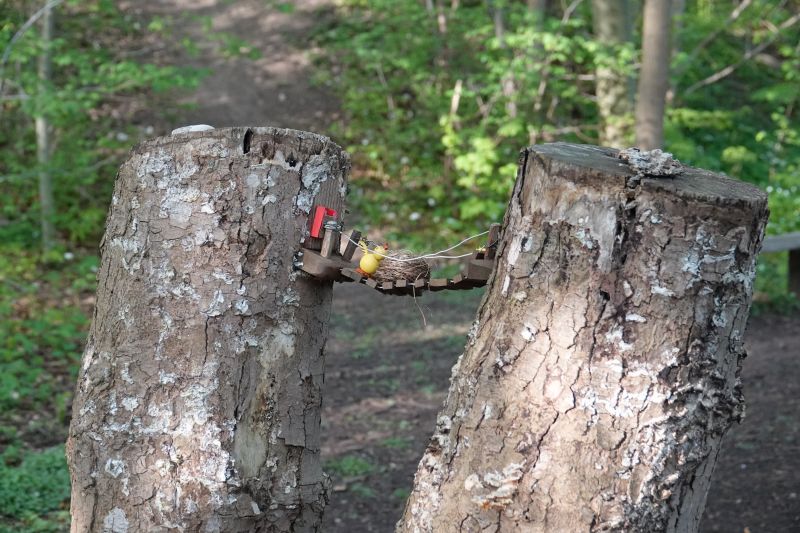 Viewing photos→2020→2020-05-03→16