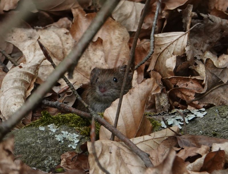 Viewing photos→2020→2020-05-08→1