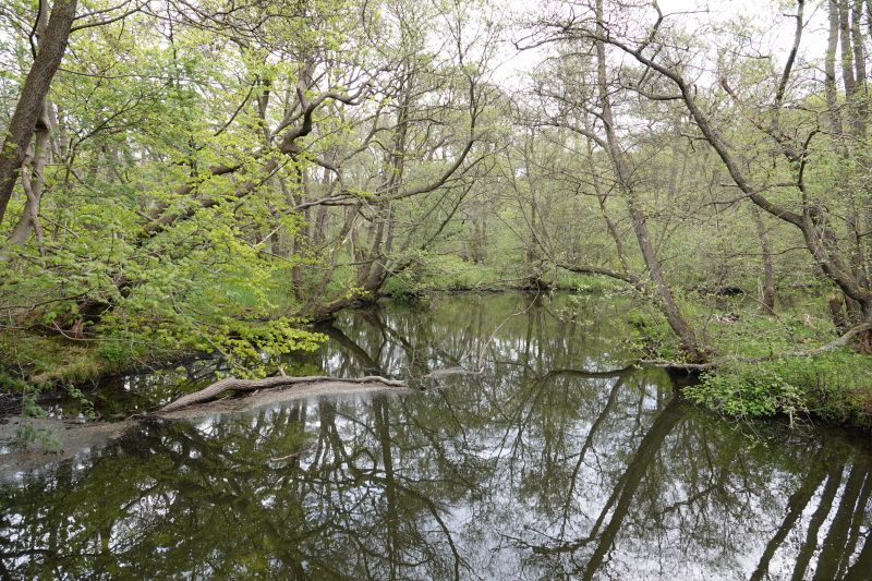 Viewing photos→2020→2020-05-08→3