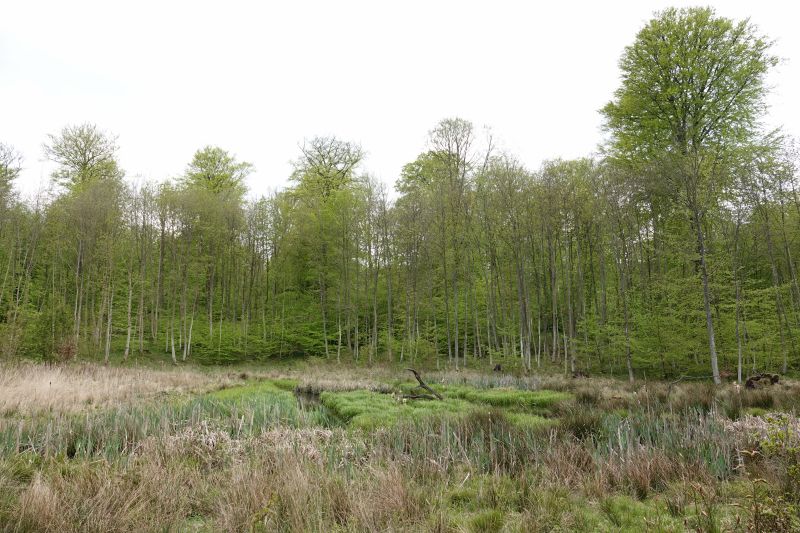 Viewing photos→2020→2020-05-08→4