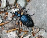 6.jpeg - 2020:05:08 14:07:16