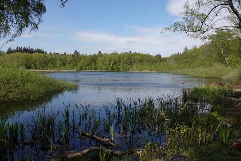 Viewing photos→2020→2020-05-08→7