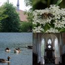 2020-06-22<br/>
<b>Bordesholm, Germany</b>
