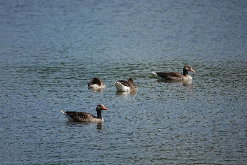 Viewing photos→2020→2020-06-22→3