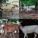 2020-09-27<br/>
<b>Jægersborg Havn</b>
