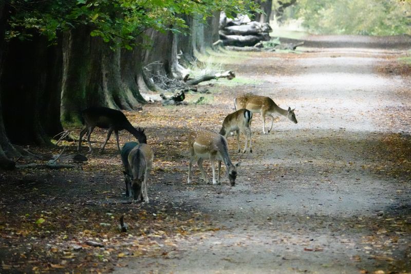 Viewing photos→2020→2020-09-27→01