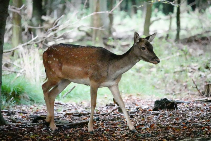 Viewing photos→2020→2020-09-27→03