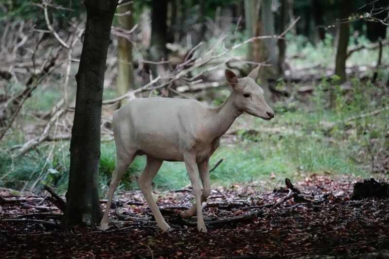 Viewing photos→2020→2020-09-27→04