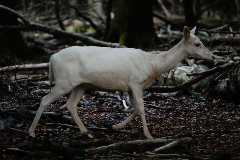 Viewing photos→2020→2020-09-27→05