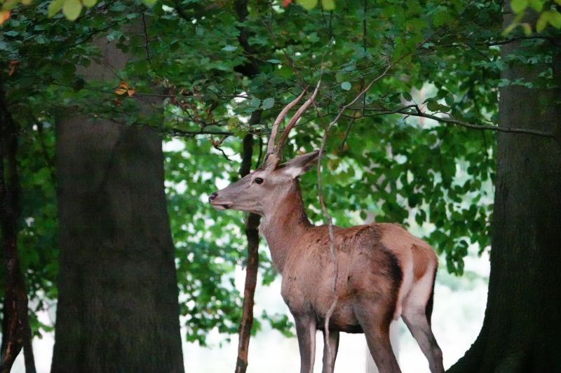 Viewing photos→2020→2020-09-27→08