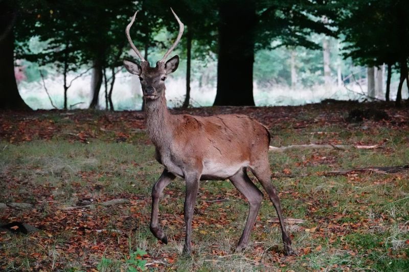 Viewing photos→2020→2020-09-27→09