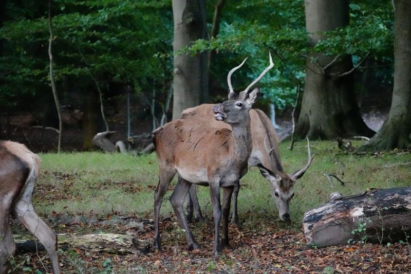 Viewing photos→2020→2020-09-27→14