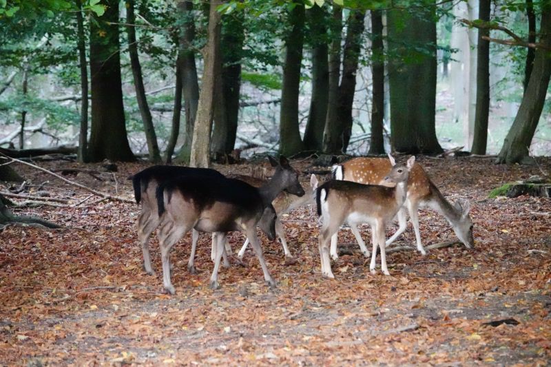 Viewing photos→2020→2020-09-27→15